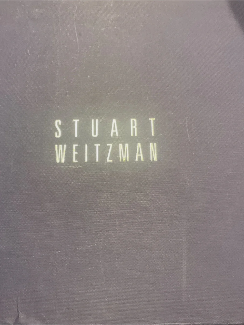 Stuart Weitzman sleek over